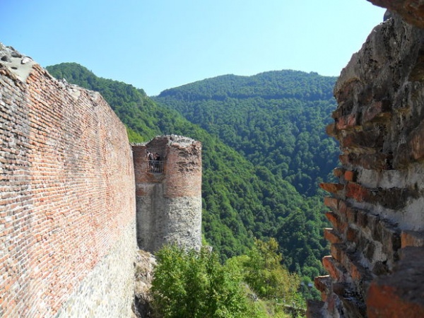 Cetatea Poenari  poza
